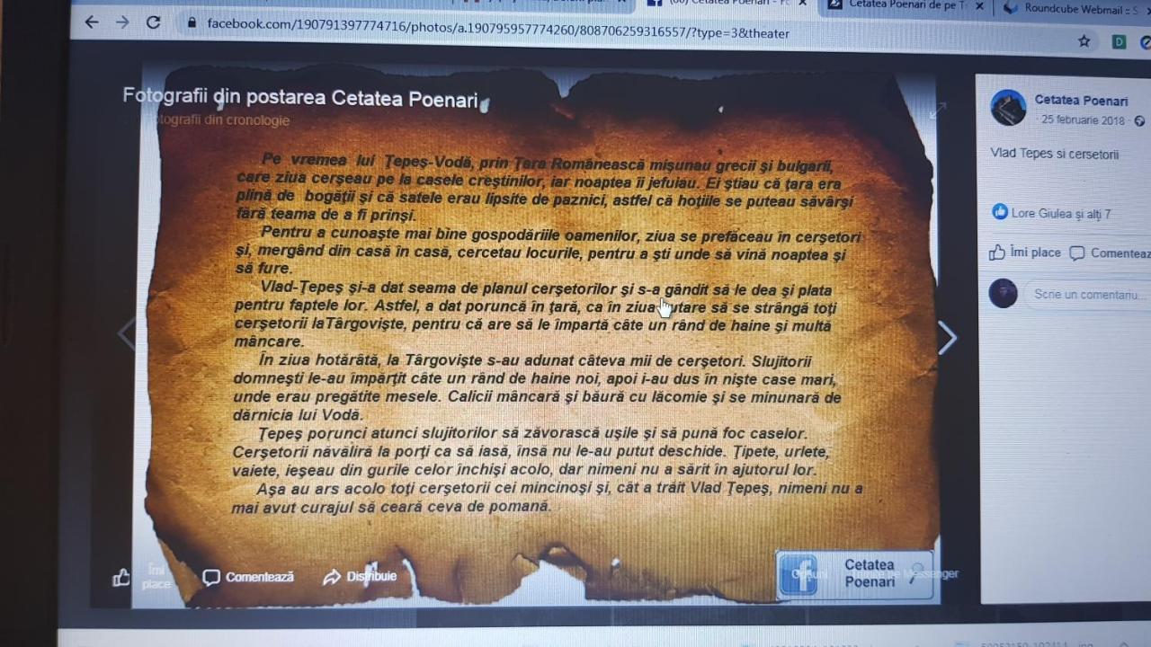 Cabanute Si Camping Dracula Capatineni-Paminteni Buitenkant foto
