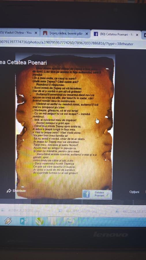 Cabanute Si Camping Dracula Capatineni-Paminteni Buitenkant foto