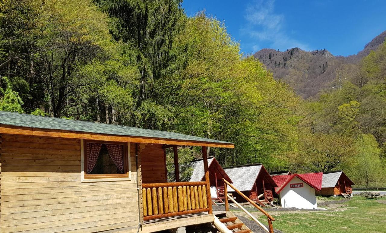 Cabanute Si Camping Dracula Capatineni-Paminteni Buitenkant foto